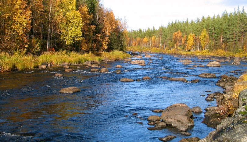 Suomen kansallispuistot tarjoavat mahdollisuuksia erilaisiin retkiin